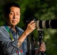 足球将比分-足球比分,绿茵场上的数字密码与激情交响