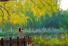 足球平负比分直播-足球平负比分直播,实时追踪赛场风云的数字窗口